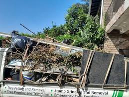 Shed Removal in Rush City, MN